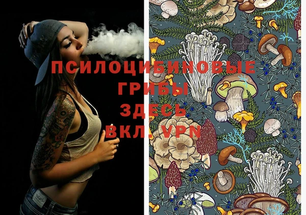 молекула духа Беломорск