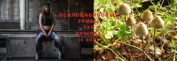 молекула духа Беломорск
