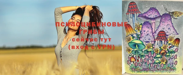 молекула духа Беломорск
