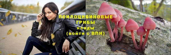 мет Белокуриха