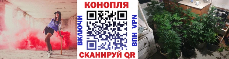 МАРИХУАНА Bruce Banner Малмыж